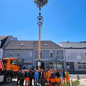 Die Mitarbeiter vom städtischen Bauhof haben der Bürgermeisterin einen Maibaum gestellt.